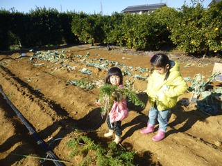 １２月２３日、農業体験終了！