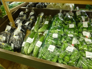 夏の野菜　カボチャ。