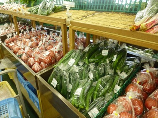 夏の野菜