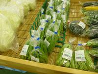 夏野菜 2015/07/08 20:18:34