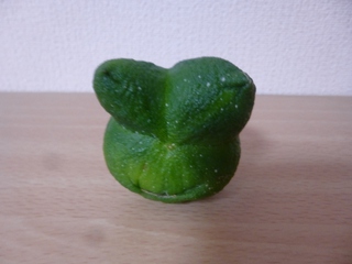 カエルの様なデコポン