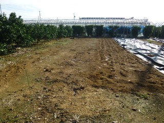 リトルファーマーズ農業体験の準備