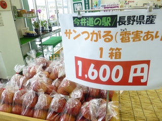 発芽してました。