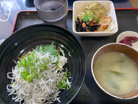 しらす丼定食