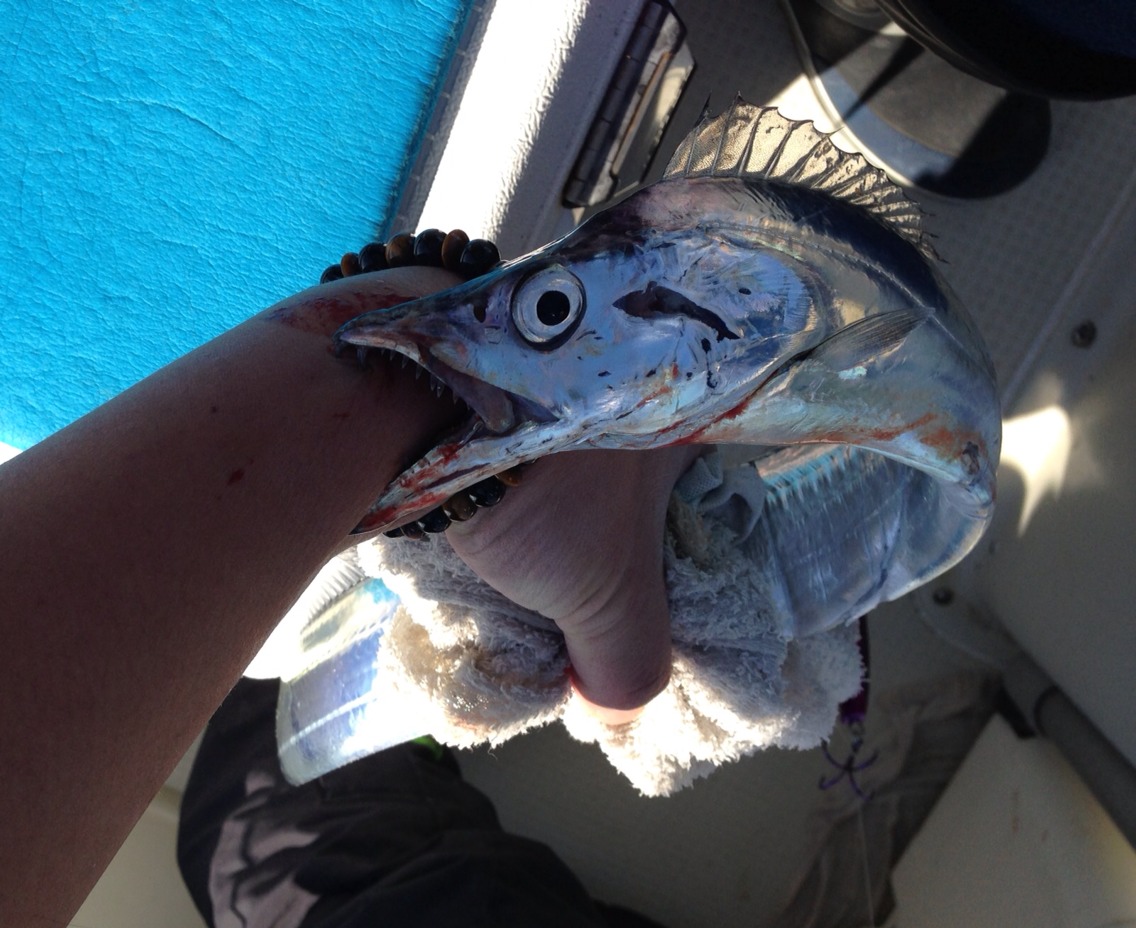 こないだの釣り( v^-゜)♪