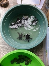 売っていいの？ 2014/12/21 02:21:34