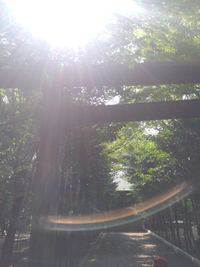 波動の学校