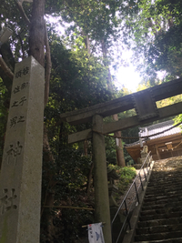 若御子之須佐之男神社