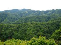 ふしぎ山  その1 2015/06/02 07:08:24