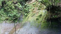 ふしぎ山 その3 2015/06/03 22:19:20