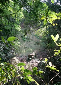 ふしぎ山  その2 2015/06/03 09:00:55
