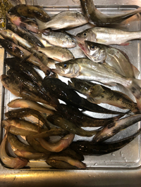 海の男の愛をもらう