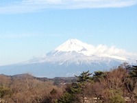 ひな祭り