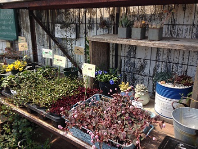 LIFE STYLE HOUSE | 磐田　新井園芸さんでお勉強。