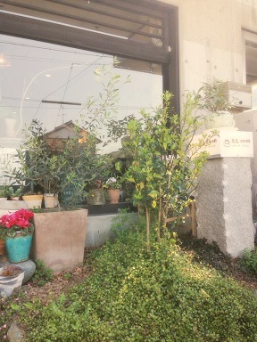 LIFE STYLE HOUSE | はまぞうブログ講座