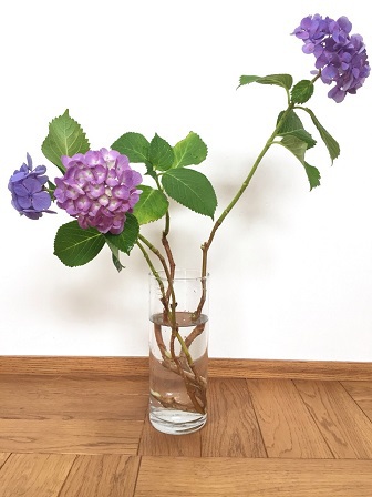 flower & green | 紫陽花を生けてみました。