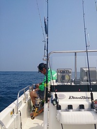 キハダ 2013/07/28 11:26:10