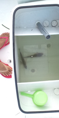 湖 内 は 2012/09/09 22:51:25