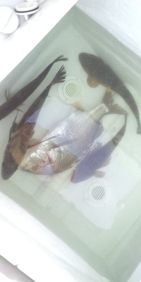 秋の引っ越し？ 2012/09/15 23:16:08