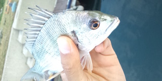 浜名湖に秋が来た
