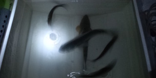 三連休、まさかの＋α