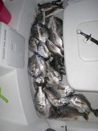 風の浜名湖