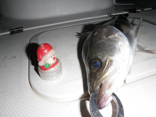 船上のメリークリスマス