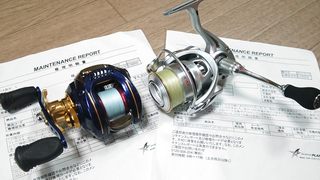 癒し効果