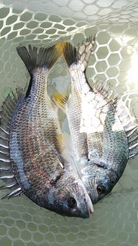 沖のち湖内 2013/05/06 22:04:51