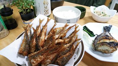 浜名湖のアジ