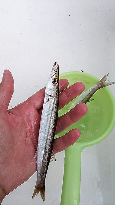 巷でウワサの
