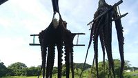 巷でウワサの 2013/07/14 07:55:48