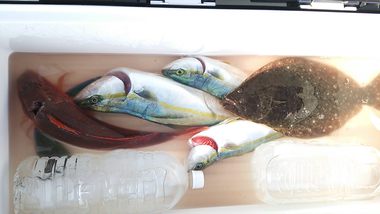 巷で噂の ２