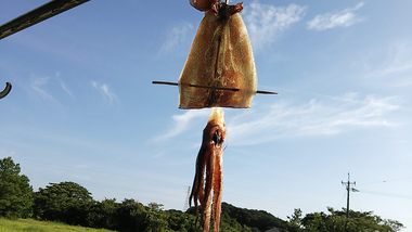 巷で噂の ２