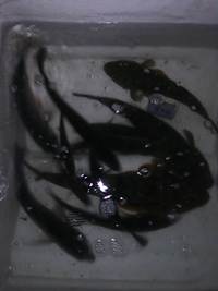 こういう 2013/10/10 01:57:56