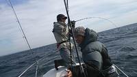 １２月初旬まとめ 2013/12/12 11:48:55