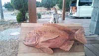 初獲物は４タコ 2014/07/14 19:56:30