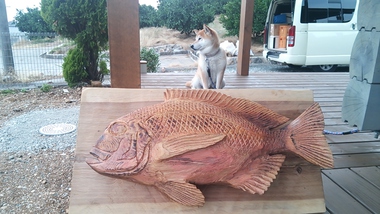 初獲物は４タコ