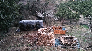 作業記録 2月後半3月前半