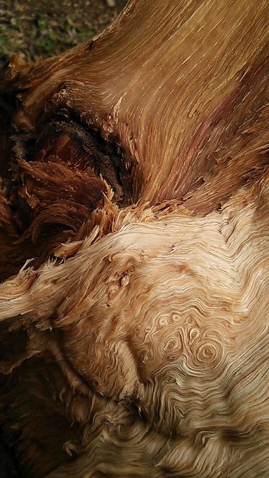 美しすぎる木目