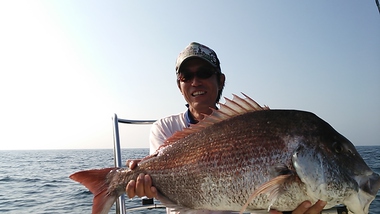 鯛爆  ハチマル