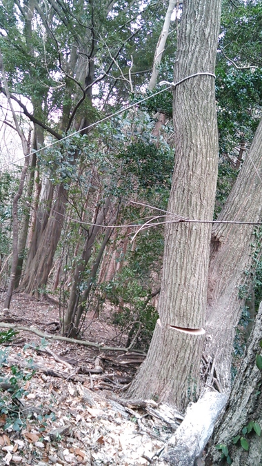 この冬 メインイベント