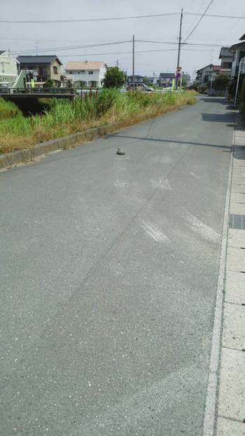 ウォーキングスポット♪