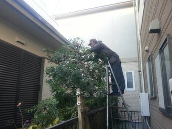 師走の職人さん。
