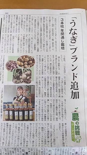 うなぎたまねぎ