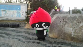 2015年はじまったナモ!!!