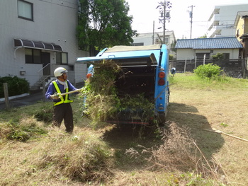 うなぎいもの核心。