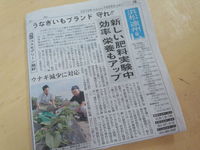 うなぎ肥料。（試験栽培）