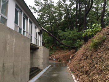 台風だったからさ。