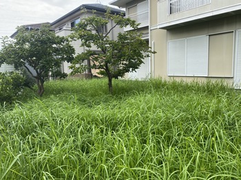 個人邸管理　草刈り